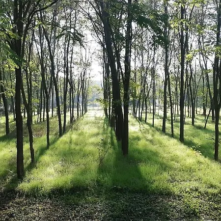 Fairytale By The Forest, Close To The River * Csongrád