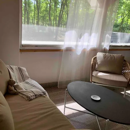 Semesterbostad Fairytale By The Forest, Close To The River Csongrád